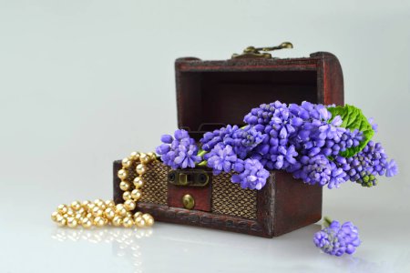 Téléchargez les photos : Fleurs de muscari pourpres et perles dans le coffre au trésor vintage - en image libre de droit