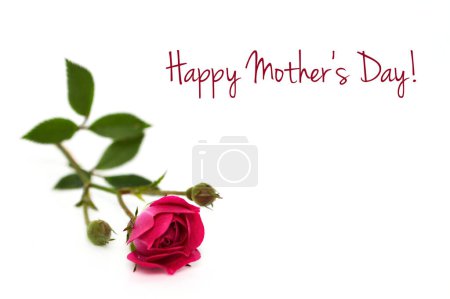 Foto de Feliz tarjeta del Día de la Madre con rosa roja - Imagen libre de derechos