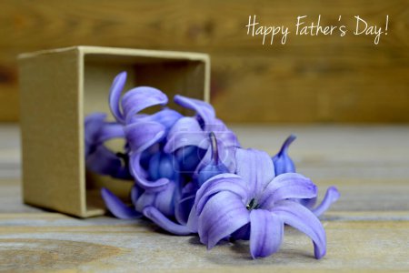 Téléchargez les photos : Cadeau de la fête des pères : Fleurs de jacinthe en boîte cadeau - en image libre de droit