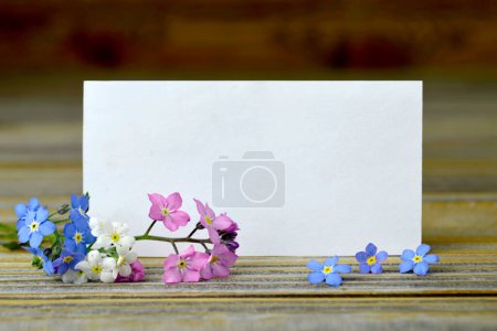 Téléchargez les photos : Carte de vœux vierge avec des fleurs printanières lumineuses - en image libre de droit