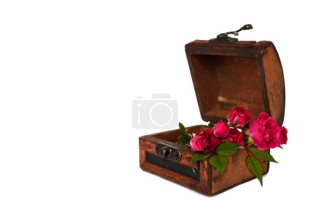 Foto de Rosas rosadas en el pecho de madera aisladas sobre fondo blanco - Imagen libre de derechos