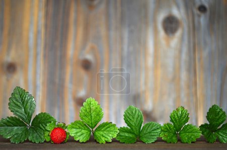 Rahmen aus Erdbeerblättern und Beeren vor Holzhintergrund