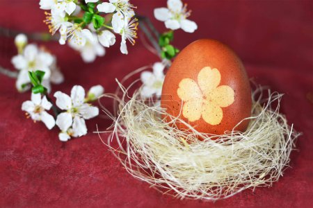 Téléchargez les photos : Easter egg in nest and spring flowers. Easter egg colored with onion skins - en image libre de droit
