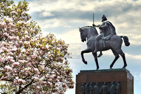 Statue of king Tomislav and magnolia tree, Zagreb, Croatia