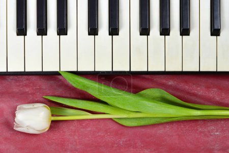 Geburtstagskarte mit weißer Tulpe und Klaviertastatur  