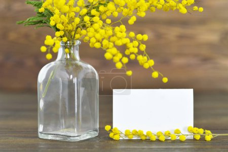 Photo for Blank Easter card and mimosa flowers - Royalty Free Image