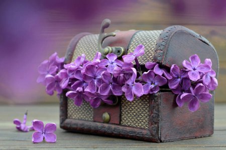 Foto de Anniversary card with lilac flowers in vintage treasure chest - Imagen libre de derechos
