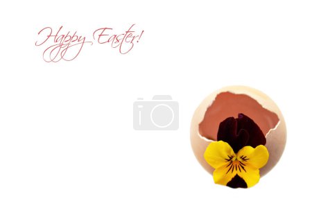 Joyeux Pâques carte avec fleur en coquille d'oeuf isolé sur fond blanc