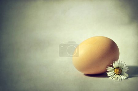 Foto de Huevo de pollo y flor de primavera sobre fondo grunge con espacio de copia - Imagen libre de derechos