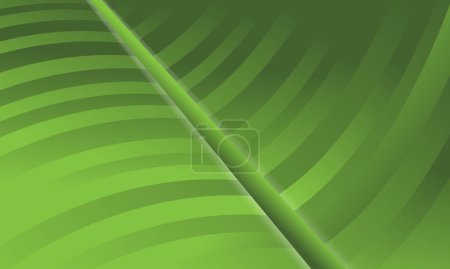 Photo for Abstract green leaves wave banner background. vector - Royalty Free Image