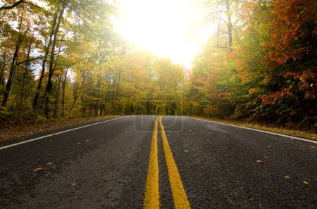 Téléchargez les photos : Fermeture de la route rurale d'automne dans la forêt Horizontal - en image libre de droit