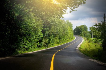 Photo for Rural Curved Road With Bright Yellow Line and Sun Rays Horizontal - Royalty Free Image