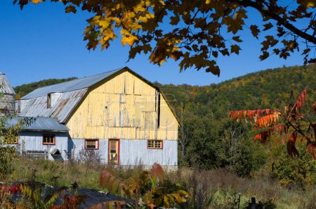 Téléchargez les photos : Old Yellow Barn in the Mountains during Fall Season Horizontal - en image libre de droit