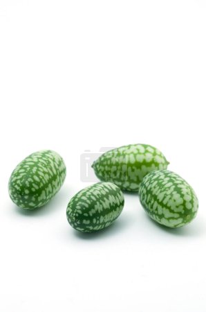 Photo for Macro Image of Mini Cucumber Looking like Watermelon Isolated on White Vertical - Royalty Free Image