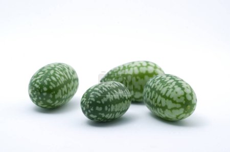 Photo for Macro Image of Mini Cucumber Looking like Watermelon Isolated on White Horizontal - Royalty Free Image