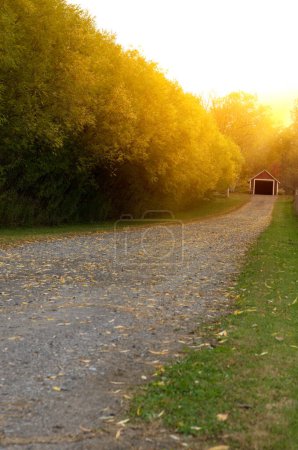 Photo for Garage at the End of a Gravel Driveway with Sun Rays Vertical - Royalty Free Image