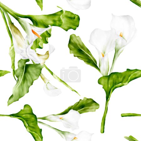 Illustration for Watercolor white calla lily flower floral seamless pattern - Royalty Free Image