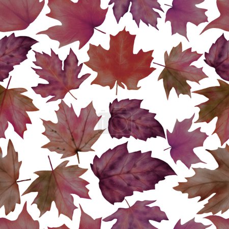Ilustración de Hermosa acuarela hojas secas patrón sin costura floral - Imagen libre de derechos