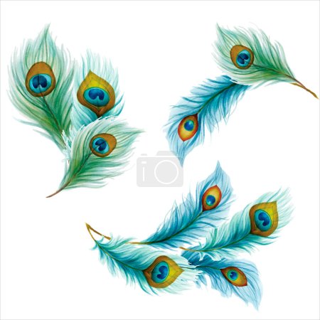 Ilustración de Hermoso ramo de flores y plumas de pavo real - Imagen libre de derechos