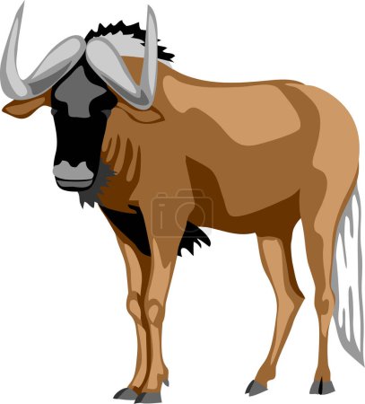 Ilustración de El ñu de cola blanca - ilustración vectorial - Imagen libre de derechos