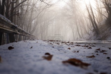 Snowy road in winter passes through a foggy forest