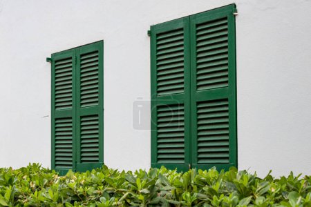 Téléchargez les photos : Windows with green shutters and plants on a white house wall in Mallorca, Spain - en image libre de droit