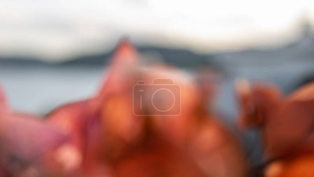 Foto de Blurred abstract background in mediterranean environment - Imagen libre de derechos