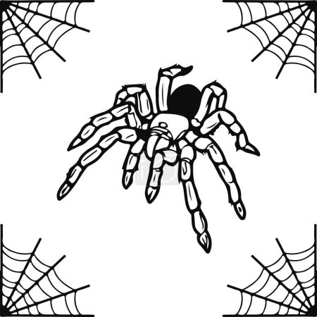 Illustration for Vector illustration of a spider with a web - Royalty Free Image