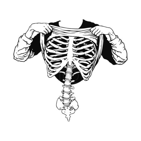 Illustration for Vector illustration showing ribs concept - Royalty Free Image