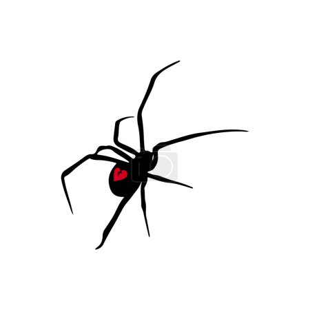 Illustration for Vector illustration of black spider - Royalty Free Image