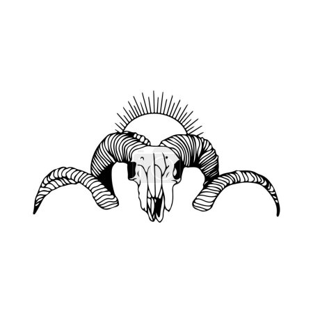 Illustration for Vector illustration of a goat's skull - Royalty Free Image
