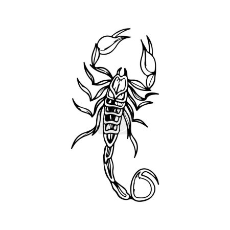 Illustration for Vector illustration of a scorpion - Royalty Free Image