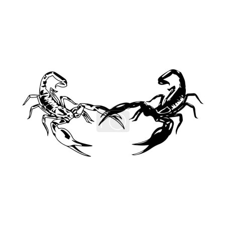 Téléchargez les illustrations : Illustration vectorielle de deux scorpions - en licence libre de droit