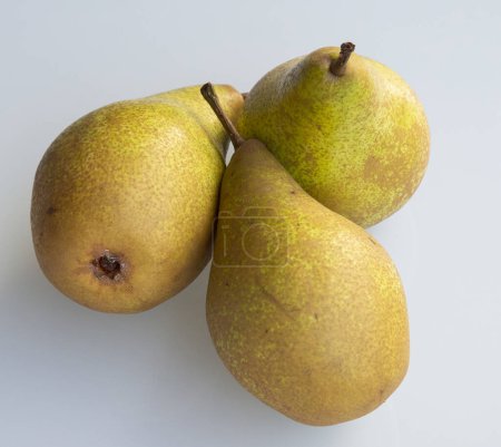 A variety of pear called 'Xenia'