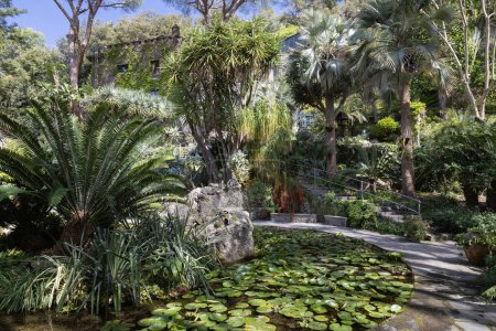 Téléchargez les photos : Forio d'Ischia (Naples), Italie - 14 avril 2024. La Mortella est un jardin subtropical et méditerranéen de l'île d'Ischia. - en image libre de droit
