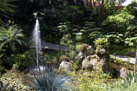 Téléchargez les photos : Forio d'Ischia (Naples), Italie - 14 avril 2024. La Mortella est un jardin subtropical et méditerranéen de l'île d'Ischia. - en image libre de droit
