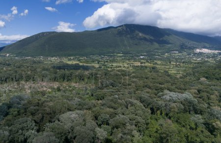 The Mortine Oasis is a hygrophilous forest (willows, poplars, alders) among the best preserved in Italy. It is on the edge of the Volurno river on the border between the Molise and Campania regions