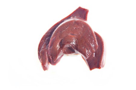 Foto de Hígado de cerdo fresco sobre fondo blanco - Imagen libre de derechos