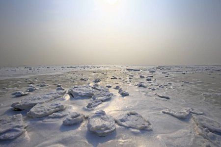 El hielo marino de invierno