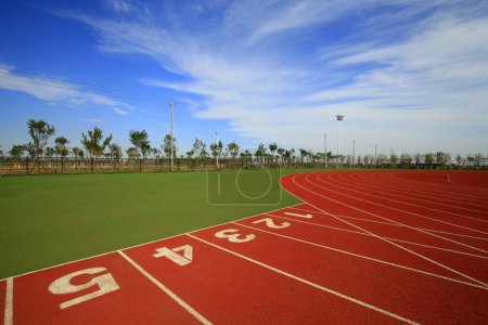 Track and field digital 