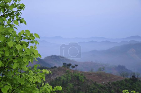 Le brouillard matinal dans les montagnes 
