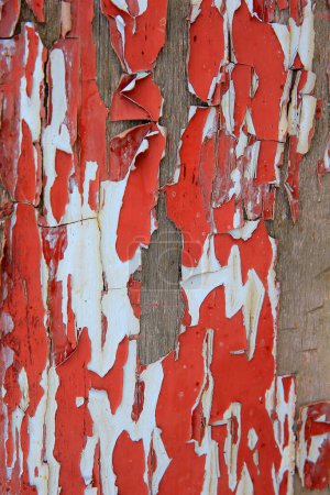 Farbe vom Holzbrett abblätternd, rot