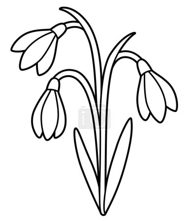 Schneeglöckchen Blumenstrauß, schwarz-weiße Linienzeichnung. Einfache Zeichentrickskizze zum Ausmalen, Vektor Clip Art Illustration.