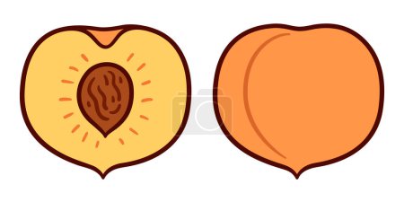 Hand drawn peach doodle, whole and cut fruit. Simple cartoon drawing, vector clip art illustration.