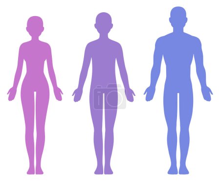 Vorlage für männliche, weibliche und unisex Körper Silhouette. Isolierte Vektor-Clip-Art-Illustration.