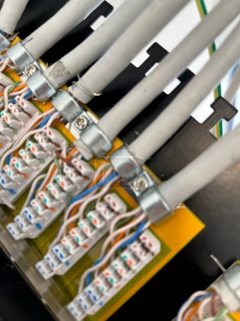Nahaufnahme von Netzwerkkabeln, die auf einem Patch-Panel mit selektivem Fokus auf den Vordergrund gecrimpt sind. FTP-Kabel