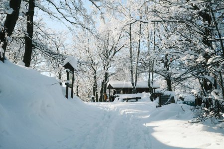 Foto de Hermoso paisaje de invierno con carretera cubierta de nieve - Imagen libre de derechos