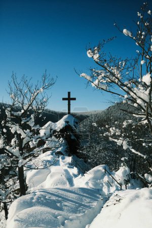Téléchargez les photos : Traverser sur la colline dans une forêt d'hiver - en image libre de droit