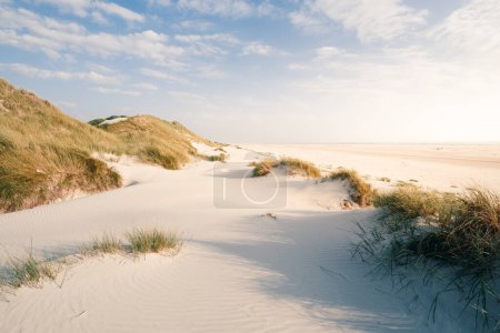 Téléchargez les photos : Belles dunes de sable. Contexte naturel - en image libre de droit