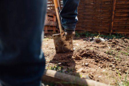 Téléchargez les photos : Homme creusant avec une pelle dans un jardin. - en image libre de droit